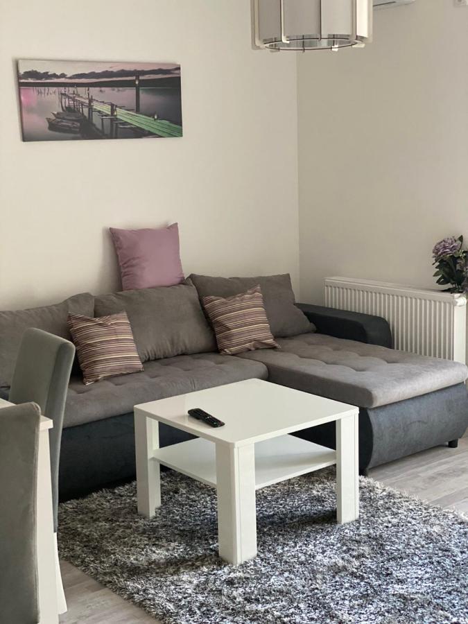Apartmani Milic Banja Koviljača Exteriér fotografie